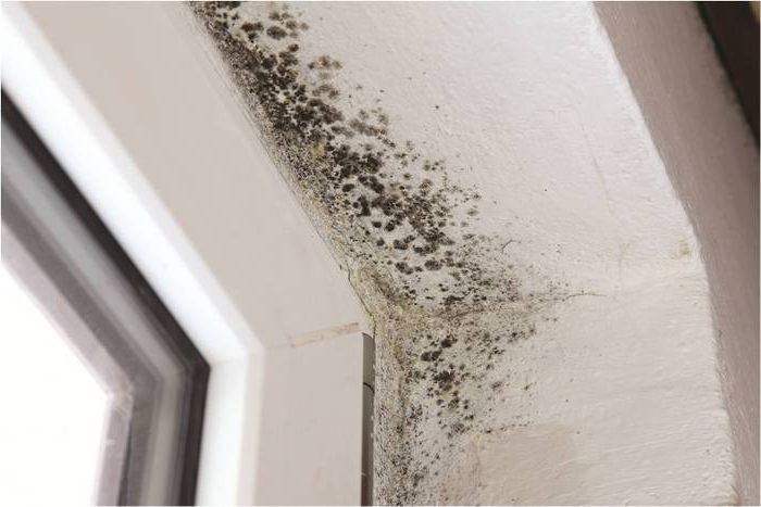 Problème de moisissure dû à une mauvaise ventilation